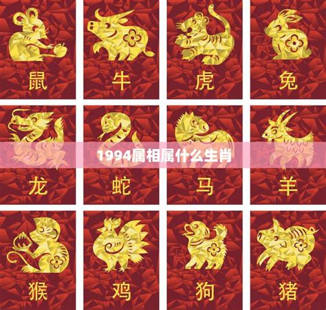 1994年生肖|1994年属什么生肖 1994年出生是什么命